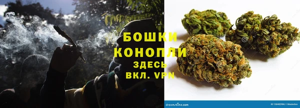 PSILOCYBIN Бугульма