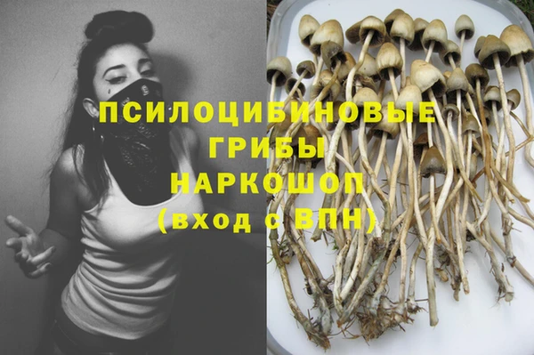 тгк Бронницы