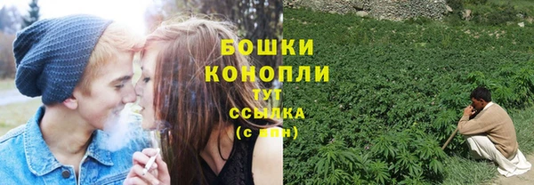 тгк Бронницы