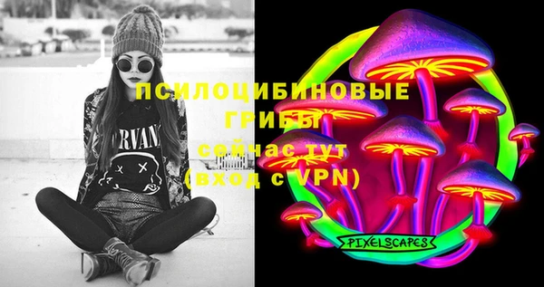 тгк Бронницы